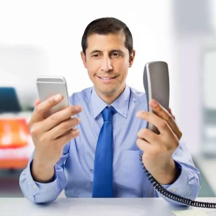 Mobile & Landline Phone Number
                     Validation